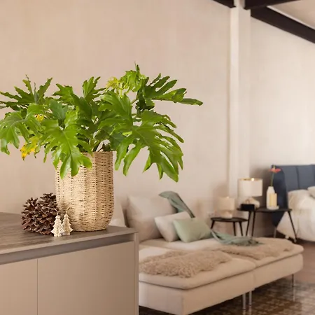 Premier Penthouse By Eden * 산타크루스데 테네리페
